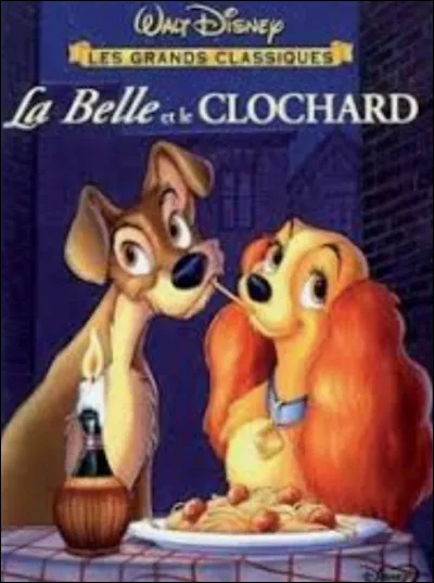 Quel est le nom de Belle ?