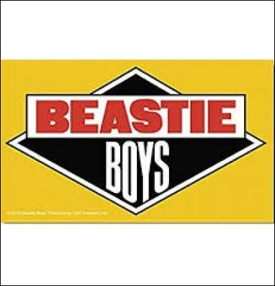 Quel est le chanteur de ce groupe ?