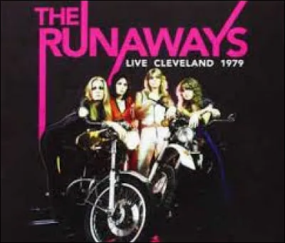 Quelle est la chanteuse de ce groupe ?