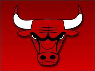 Quelle équipe américaine de basket-ball a choisi un taureau pour la représenter ?