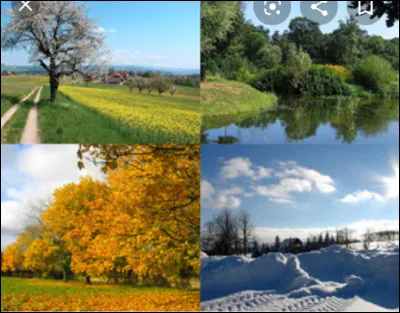 Ta saison préférée est :