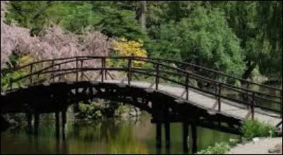 Ton pire ennemi va tomber d'un pont haut de 4 m, tu :