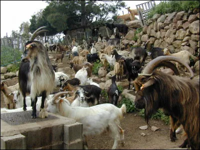 Le 1er janvier 1976, une certaine région française est divisée en deux départements !