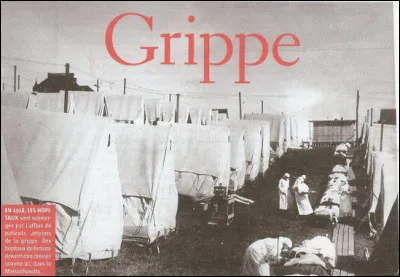 La grippe espagnole a fait au moins 50 millions de victimes dans le monde. Quand a-t-elle sévi ?