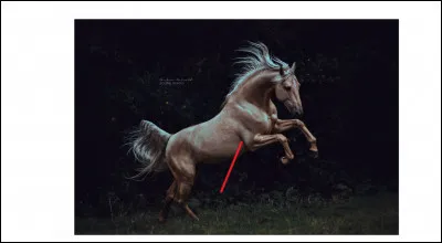 Comment se nomme cette partie ?