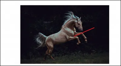 Comment se nomme cette partie ?