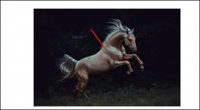 Comment se nomme cette partie ?