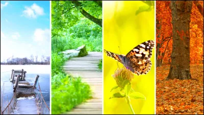 Quelle est votre saison préférée ?