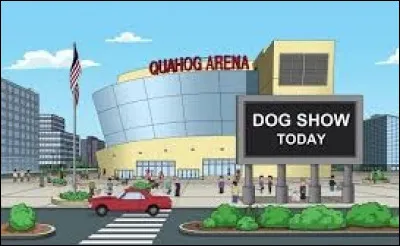 Quahog est une ville de fiction qui abrite une drôle de famille dont le bébé s'exprime comme un adulte et le chien est capable de tenir une conversation...
Quel est le titre de ce dessin animé ?