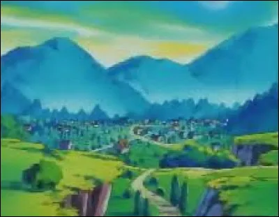 Quel héros est originaire de Bourg-Palette ?