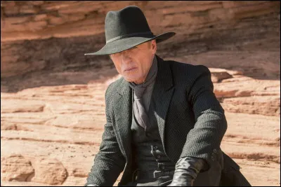 "Westworld" est une série d'anticipation dans laquelle a joué Éd Harris.