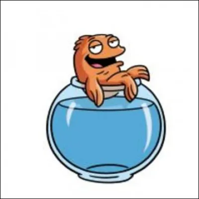 De quel sport, Klaus était-il un champion avant d'être transféré dans le corps d'un poisson ?