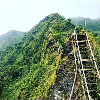 Les 3 970 marches de la montagne Oahu's Koolau ont été construites par l'armée ... en 1942 sur l'île ... et baptisées d'un nom qui deviendra célèbre. Lequel ?