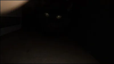 Pourquoi la Belle au bois-dormant s'endort-elle pour 100 ans ?