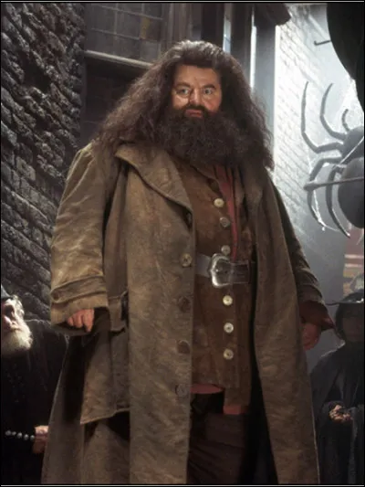 Le premier véritable Noël d'Harry commence par l'ouverture des cadeaux trouvés au pied du lit. Pourquoi Hagrid lui offre-t-il une flûte ?