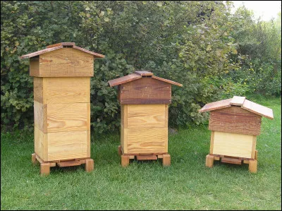 Où vivent les abeilles ?