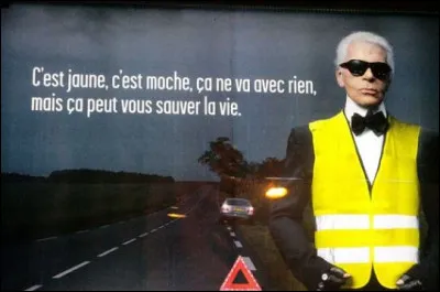 Créateur aux multiples talents, Karl Lagerfeld laisse un héritage hors normes au monde de la mode. Le pourquoi de cette question qui lui a été posée lors d'une conférence " Quelle est votre plus grande réussite ?". D' après vous, A ou B ?