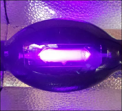 Pour quoi utilise-t-on de la lumière noire ?