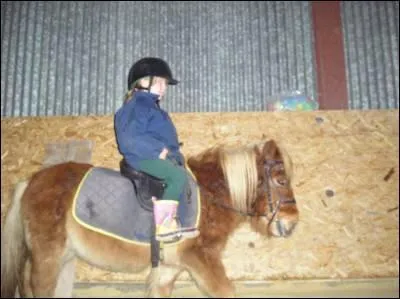 Quelle est la race de ce poney ?