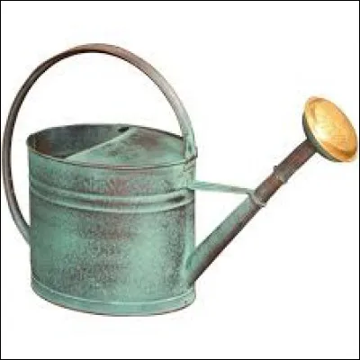 Combien de temps faut-il arroser les orchidées ?