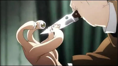 A quel anime appartient cette image ?