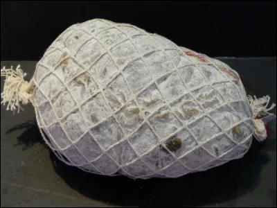 Quel est le nom de ce type de saucisson sec, à base de viande et de gras de porc, originaire de la région lyonnaise ?