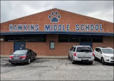 Hawkins est une petite ville du Comté de Roane, dans l'état de l'Indiana.
Quelle série se déroule dans cette ville fictive ?