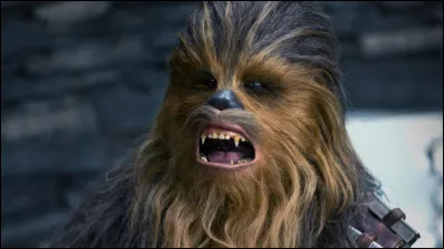 Finalement, Chewbacca est mort