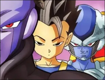 Dans l'univers 6, qui est un sayen ?