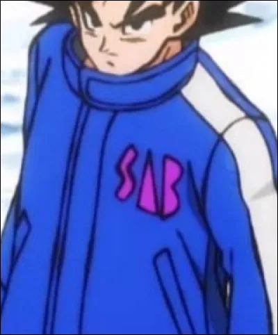 Après le tournoi, Goku affronte...