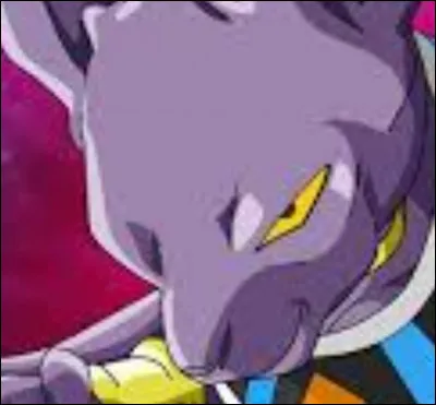 Selon Beerus, qui est le plus fort de l'univers 7 ?