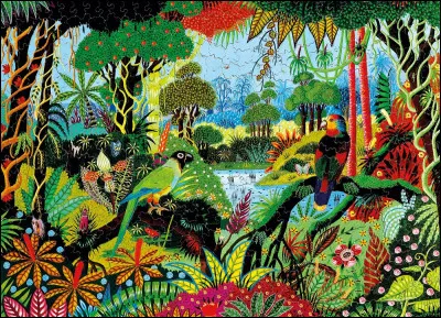 On termine avec "Perruche et amazone", splendide toile colorée et naïve de l'artiste :