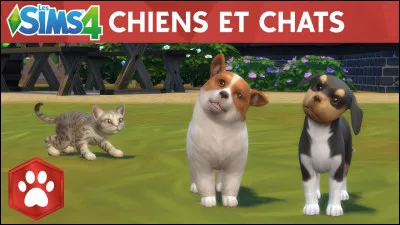 Peut-on contrôler les chiens et chats ?
