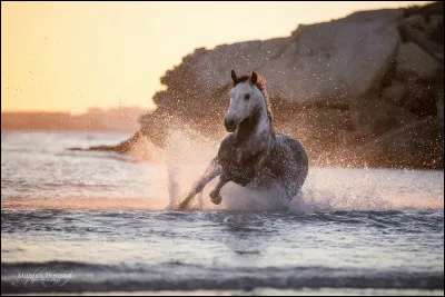 En termes de taille, tu ferais plutôt...