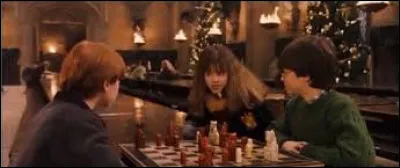 Dans quel jeu a-t-on vu Harry pendant la saga ?