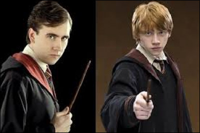 Qui est le meilleur ami d'Harry Potter ?