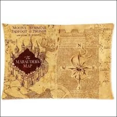 Qui sont les Maraudeurs ?