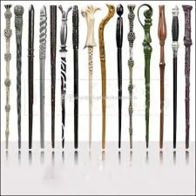 Qui n'a pas sa propre baguette au début de la saga ?