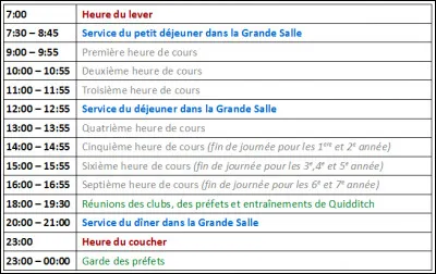 Quelles matières le professeur Rogue a-t-il enseignées ?