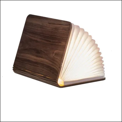 "Frankeinstein ou le Prométhée moderne" est un roman écrit par Mary Shelley.