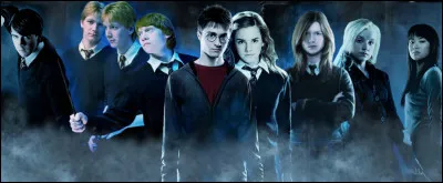 Ton personnage préféré dans ''Harry Potter'' est :