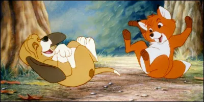 Et une dernière question : sur cette image, où est Rox et où est Rouky ?