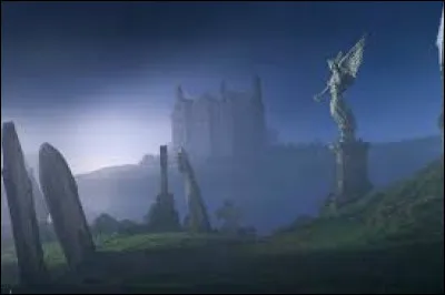 Où se trouve le manoir des Jedusor ?