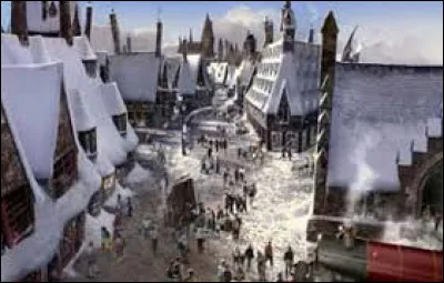 Où les jeunes sorciers peuvent-ils parfois se rendre à partir de leur troisième année d'études ?