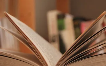 Quiz Litterature