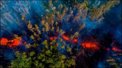 À qui doit-on "L'Inconscient et son interprétation" ?