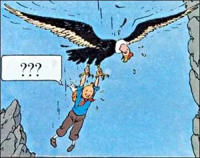 Et nous nous retrouvons dans les Andes : que dit Tintin - à moins que ce ne soit Milou - en si fâcheuse posture ?