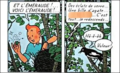 Enfin, voici un volatile ! Qu'a donc trouvé notre héros dans le nid de la pie, qui se trouve malencontreusement occulté par un bout de sparadrap ?