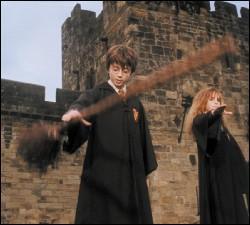 PASSONS AU QUIDDITH. Quel est l' lment dont on a besoin pour voler ?