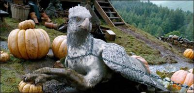 Quelle est cette crature majestueuse ?